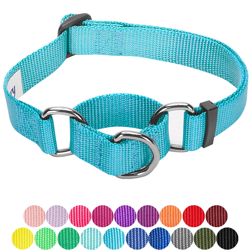 Blueberry Pet Essentials 20 Colors Martingale Safety Training Dog Collars, Personalized Martingale Dog Collars Large Turquoise - BeesActive Australia