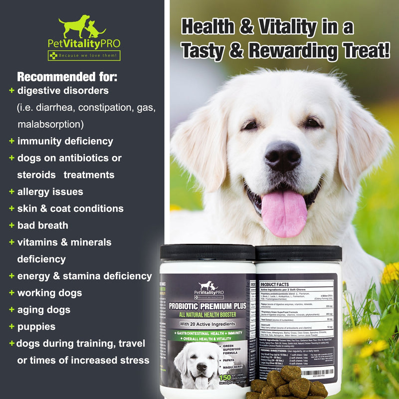 PetVitalityPRO Probiotics for Dogs with Natural Digestive Enzymes ● 4 Bill CFUs/2 Soft Chews ● Dog Diarrhea Upset Stomach Yeast Gas Bad Breath Immunity Allergies Skin Itching Hot Spots 150 - BeesActive Australia