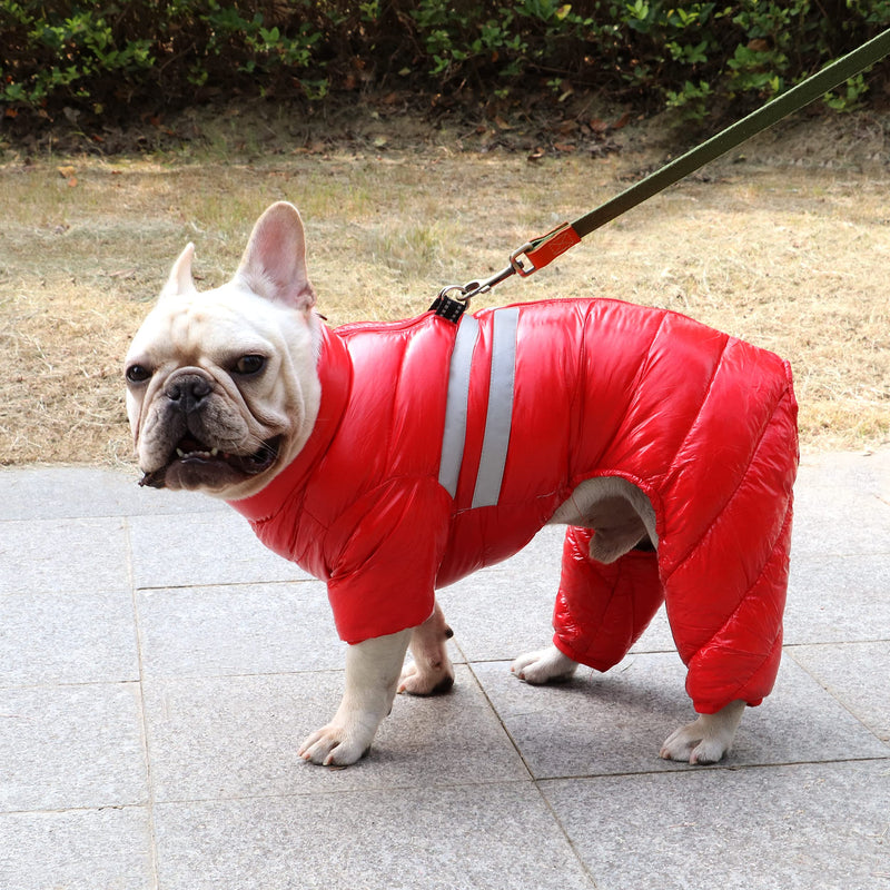 Didog Winter Puppy Dog Coat,Reflective Waterproof Windproof Dogs Cold Weather Jacket with Dual D Leash Ring, Warm Zip Up Pet Coats Clothes for Small Dogs & Cats Outdoor Walking 16#：Chest 17”; Back length 13” Red - BeesActive Australia