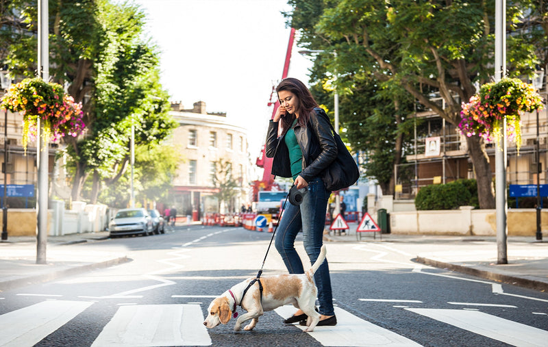 Dial A-Distance Retractable Dog Leash, Adjustable 0 to 15 Feet, Auto Brake and One Button Lock - BeesActive Australia