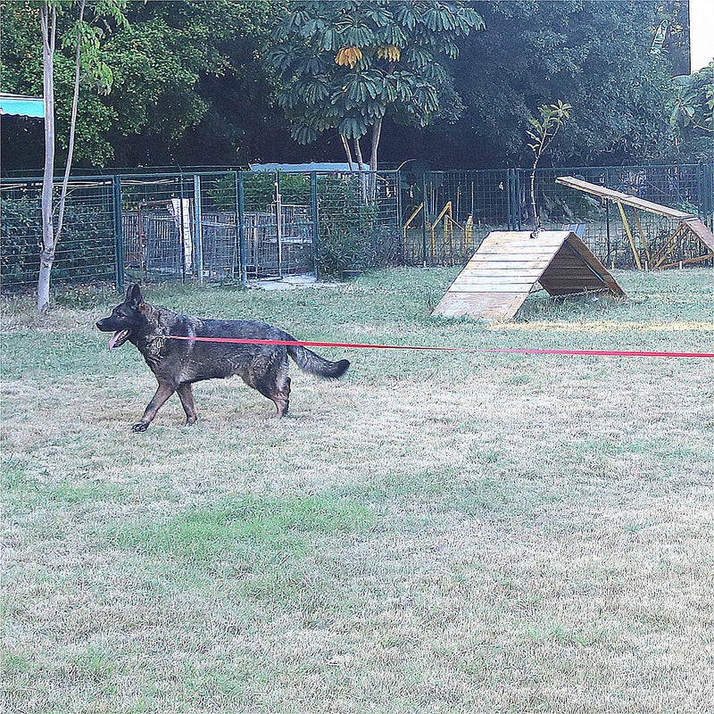 Siumouhoi Dog/Puppy Obedience Recall Training Agility Lead-15 ft 20 ft 30 ft 40 ft 50 ft Long Leash -for Training Leash, Play, Safety, Camping,or Backyard 20 Feet Purple - BeesActive Australia