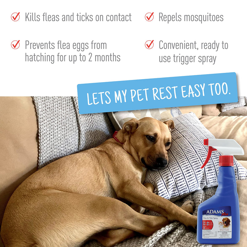 Adams Plus Flea & Tick Spray for Dogs and Cats Kills Adult Fleas, Flea Eggs, Flea Larvae, Ticks, and Repels Mosquitoes for Up to 2 Weeks Controls Flea Reinfestation for Up to 2 Months 16 Ounces Shampoo Bundle - BeesActive Australia
