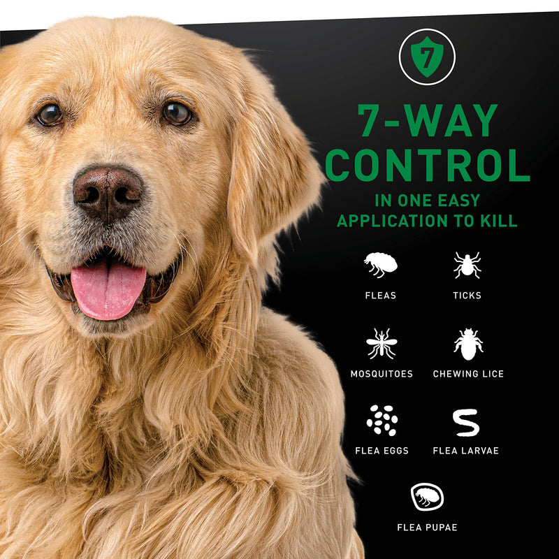 NEXTSTAR Flea & Tick Topical Prevention for Dogs Large Dogs (45-88 lbs) - BeesActive Australia