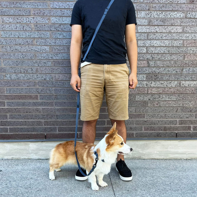 WOOF ELITE Hands-Free Adjustable Waterproof Dog Leash 7 FT / 8 FT Blue - BeesActive Australia