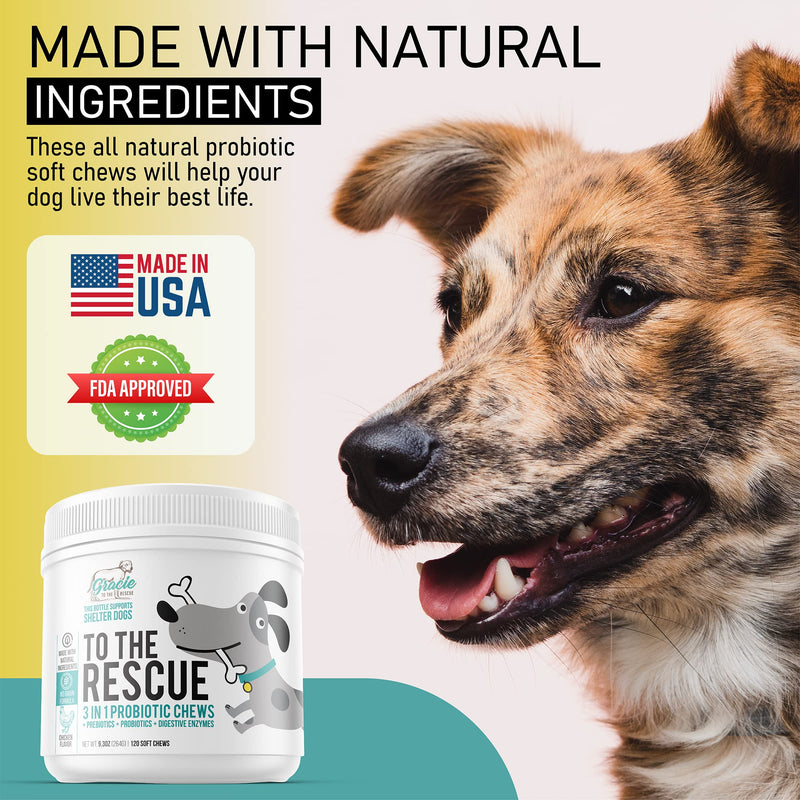 Probiotic Chews for Dogs with Pre and Probiotics - Advanced Dog Probiotics and Digestive Enzymes, Diarrhea Treatment, Itchy Skin, Upset Stomach, coprophagia, UTI's, Dog Allergy - BeesActive Australia