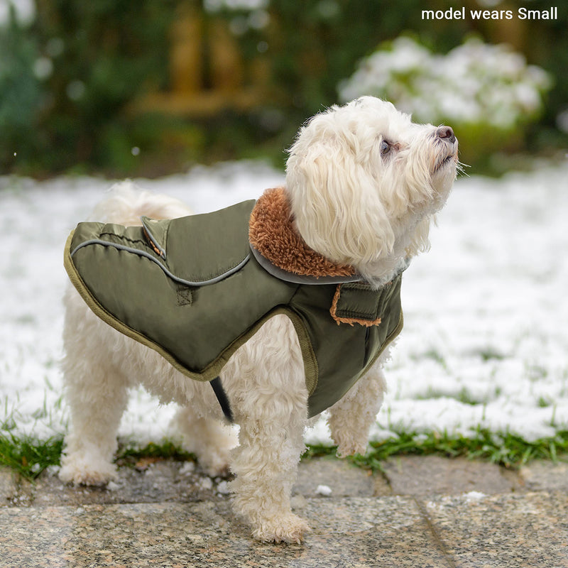 Dog Winter Coat - Warm Fleece Dog Clothes for Rain Snow Wind Cold Weather - Reflective Adjustable Cozy Waterproof Windproof Dog Vest Jacket with Leash Hole for Small Medium Large Dogs Indoor Outdoor L (chest:19"-28" neck:17.5") Green - BeesActive Australia