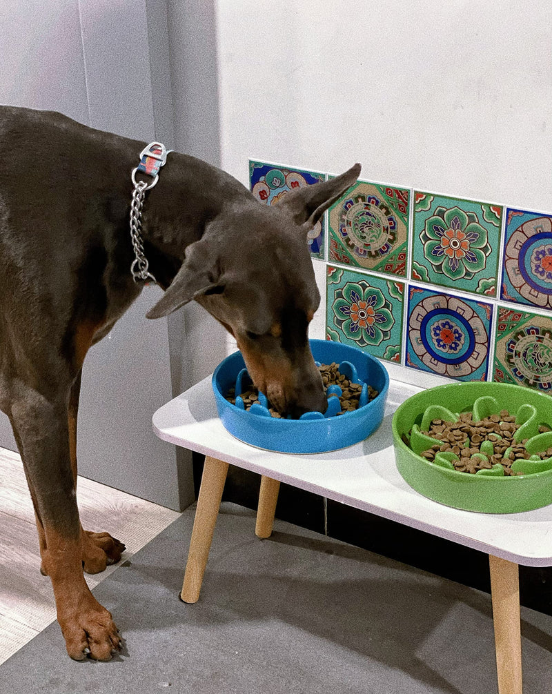 LE TAUCI Dog Bowl Slow Feeder Ceramic, 1.5 Cups Slow Feeding Dog Bowl Small Medium Breed, Puppy Slow Feeder Bow for Fast Eaters, Dog Dishes to Slow Down Eating, Puzzle Dog Food Bowl - BeesActive Australia