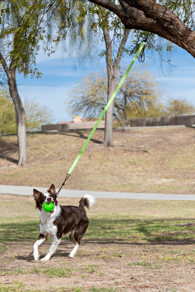 Jolly Pets Tree Tugger,Green - BeesActive Australia