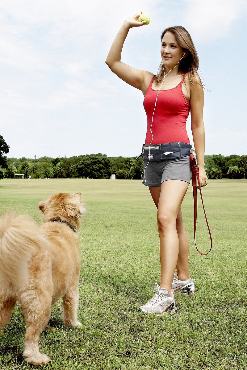 DOOG - Walkie Belt Black - BeesActive Australia