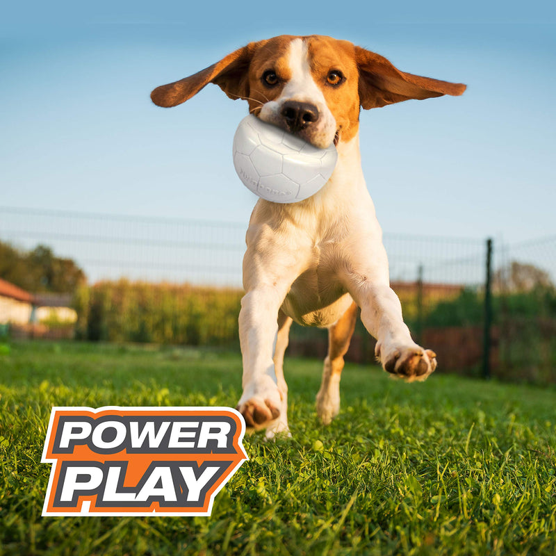 Nylabone Power Play Sports Fetch Toys for Dogs l Dog Toys for The Ultimate Playtime Experience l Excersize Toys for Dogs Medium (1 Count) Soccer - BeesActive Australia