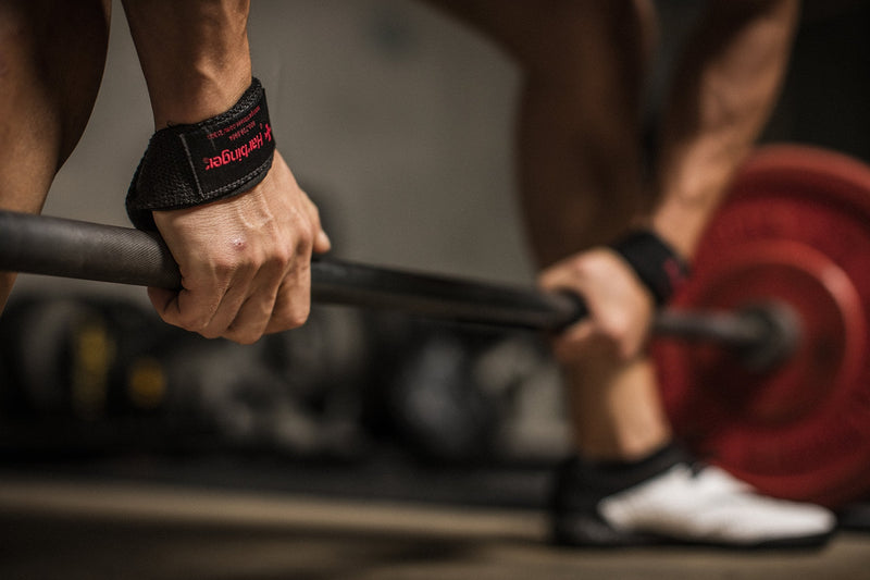 Harbinger Padded Cotton Lifting Straps with NeoTek Cushioned Wrist (Pair) - BeesActive Australia