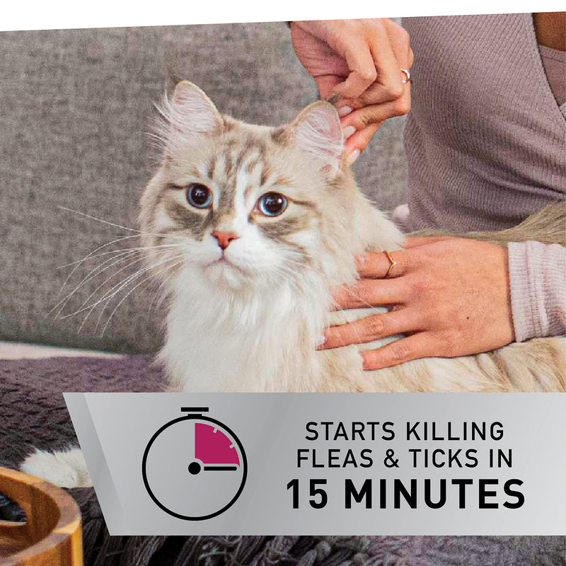 NEXTSTAR Topical Flea & Tick Treatment & Prevention for Cats over 3.5 lbs, Fast Acting, 3-Month Supply - BeesActive Australia