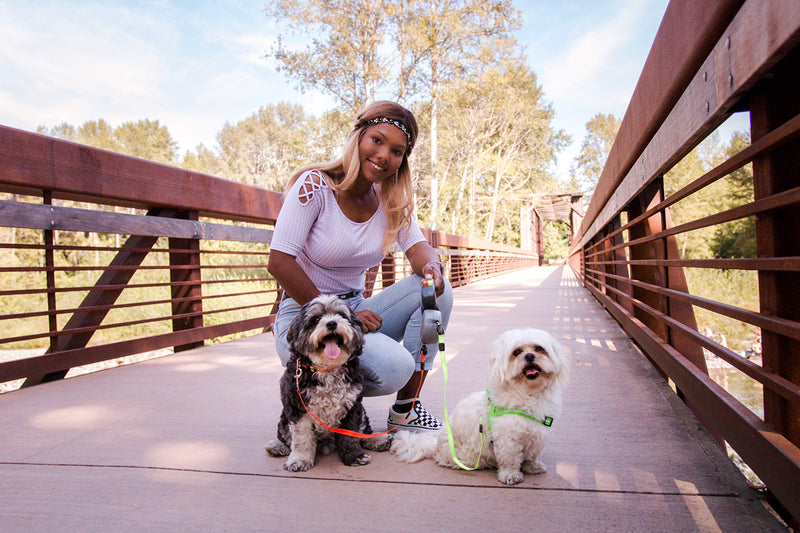 WIGZI Original Dual Doggie Reflective Retractable Dog Leash - 360 Degrees, No Tangle - Walk 2 Pets up to 50 lbs Each - Two 10ft Orange & Green Leads w/ Locking System - BeesActive Australia