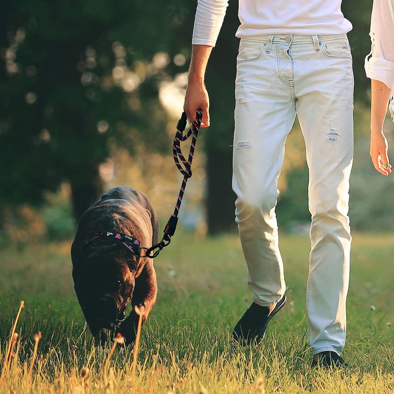 Kruz Reflective Dog Leash -KZROPE5048/5060 - Soft Silicone Grip with Click & Lock Snap - Walking, Running and Pet Training - Heavy-Duty, Durable Rope - Security, Safety, Control, and Comfort 1/2" x 5 FT Black - BeesActive Australia
