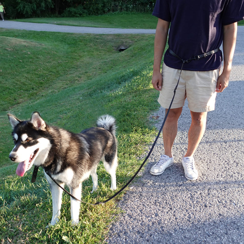 WOOF ELITE Hands-Free Adjustable Waterproof Dog Leash 7 FT / 8 FT Blue - BeesActive Australia
