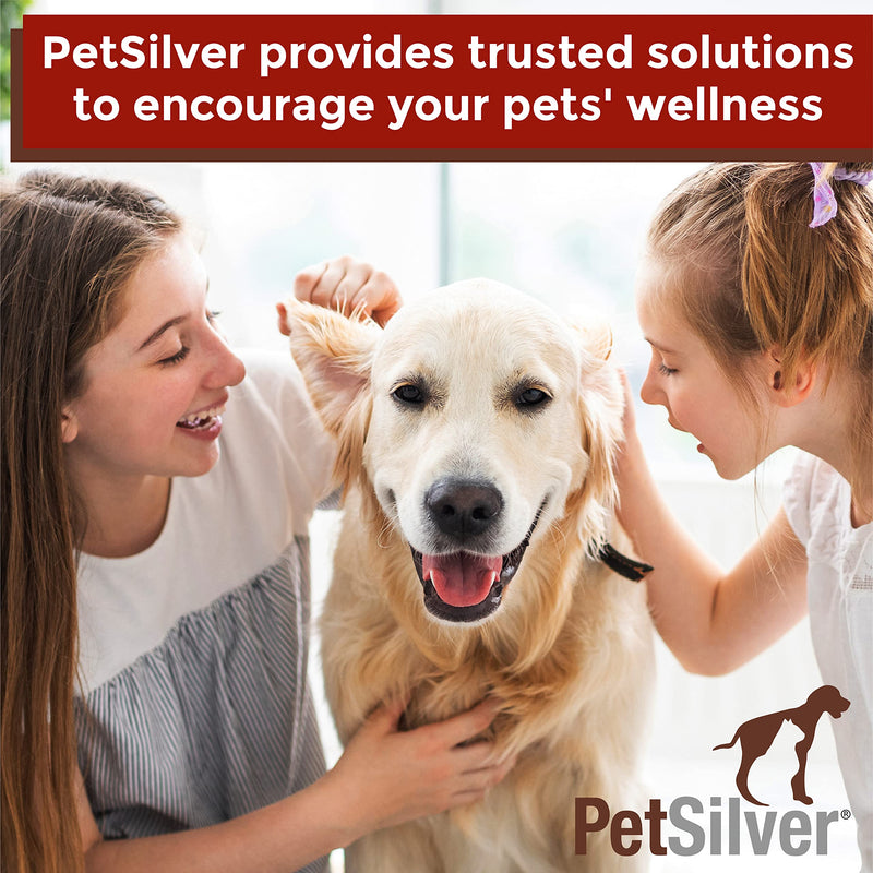 PetSilver Ear Wash Drops with Chelated Silver, Made in USA, Natural Ear Solution, Odorless Formula, Easy to Apply 8 oz - BeesActive Australia