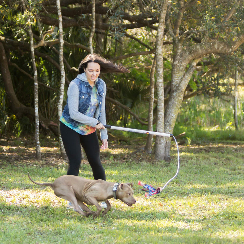Squishy Face Studio Flirt Pole V2 with Lure - Durable Dog Toy for Fun Obedience Training & Exercise Squeaker Regular (36 in) Purple/Blue Tie Dye - BeesActive Australia