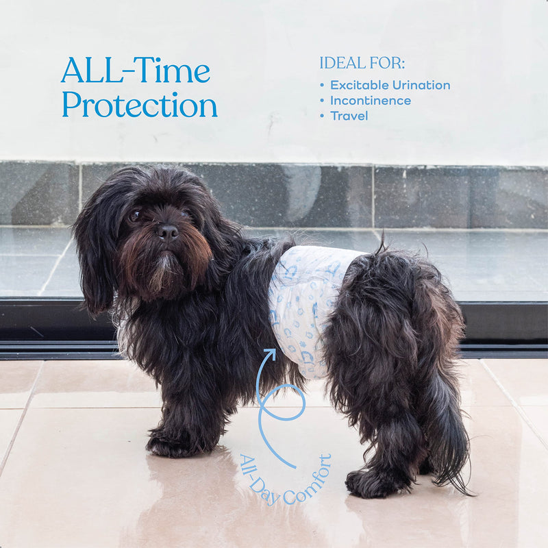Comfortable Male Dog Diapers - Super Absorbent Disposable Male Dog Wraps- FlashDry Gel Technology, Wetness Indicator Doggie Diapers- Leakproof Belly Wraps for Incontinence, Excitable Urination Small 24.0 - BeesActive Australia