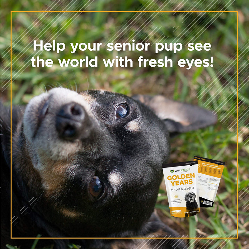 VetriScience Golden Years Clear and Bright for Senior Dogs, Chicken Liver, 60 Soft Chews - Promotes Eye Health with Powerful Antioxidants Clear & Bright Eye - BeesActive Australia