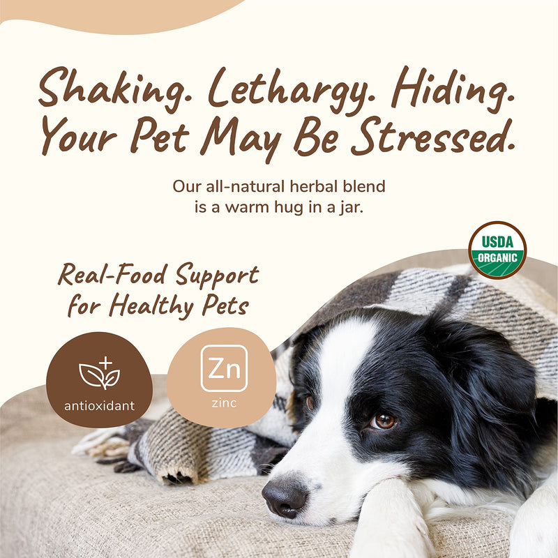 kin+kind Organic Cat & Dog Anxiety Relief - Healthy Calm Pet Supplement - Natural Stress and Anxiety Relief for Dogs and Cats - Formula with Chamomile, Ginger and Hawthorn Berry - Mixed in USA 4 oz - BeesActive Australia
