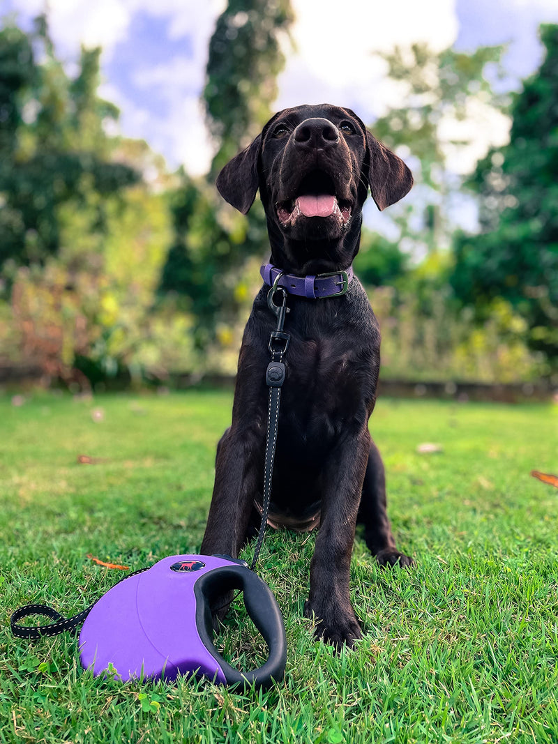 Tuff Pupper Heavy Duty Retractable Dog Leash | 16 ft Dog Leash with Reflective Stitching for Nighttime Safety | One Button Lock and Release | Comfortable Hand Grip | for Dogs Up to 120 lbs X-Large (Pack of 1) Ultra Violet - BeesActive Australia
