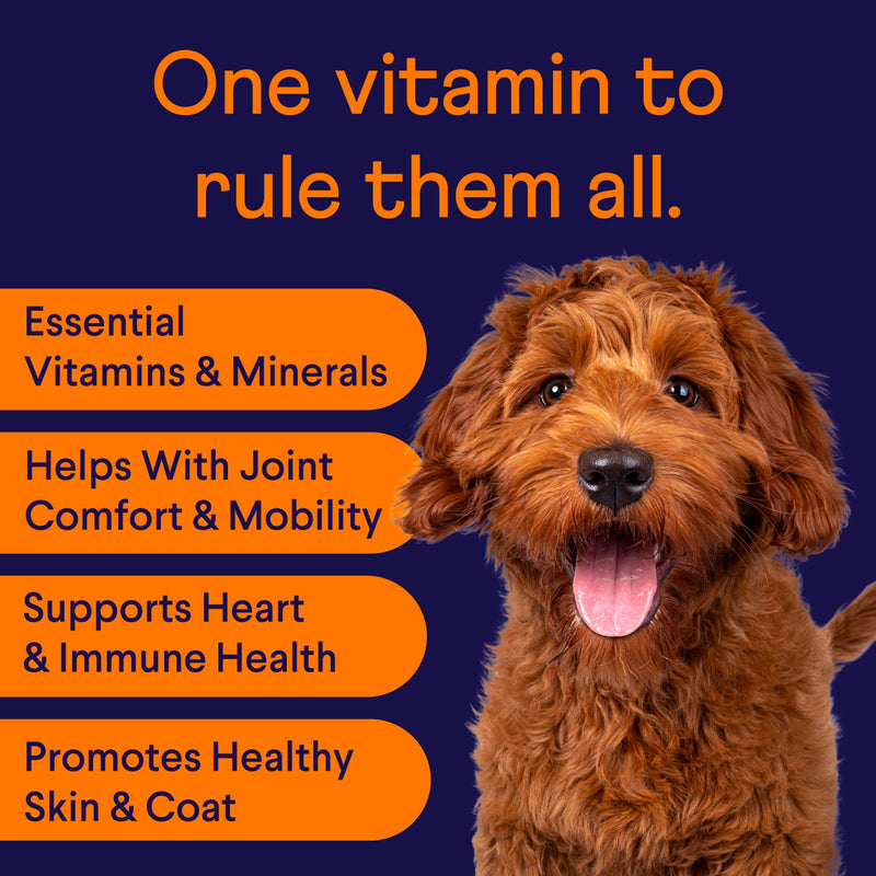 Finn All-in-1 Dog Multivitamin - Everyday Vitamin Supplement for Dogs with Probiotics, Omega-3s, Glucosamine + Chondroitin | Gut & Immune Health, Joint Support, Heart Health | 90 Soft Chew Treats - BeesActive Australia