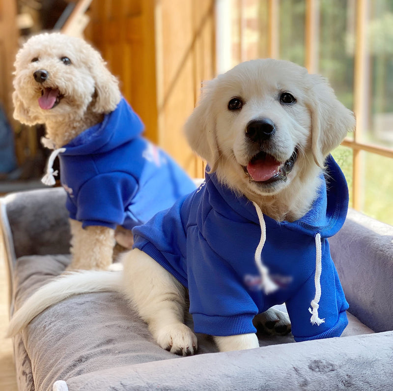 ChoChoCho Dog Hoodie Pet Clothing, Cats Hoodies, Stylish Streetwear Blue Dog Sweatshirt Tracksuits, Dog Outfit for Dog Cat Puppy Small Medium 2XL (24-33 LBS) - BeesActive Australia