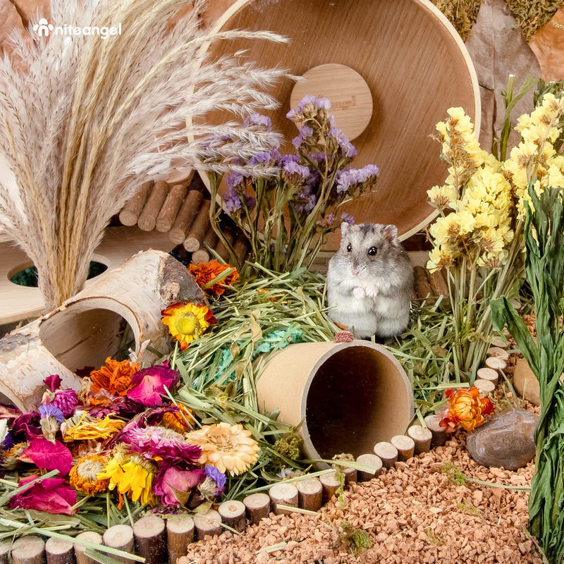 Niteangel Natural & Soft Hamster Bedding Mate Small Animal Habitat Decor for Syrian Dwarf Hamsters Gerbils Mice Degus Bunny or Other Small-Sized Pet Flowers Scent Path - BeesActive Australia