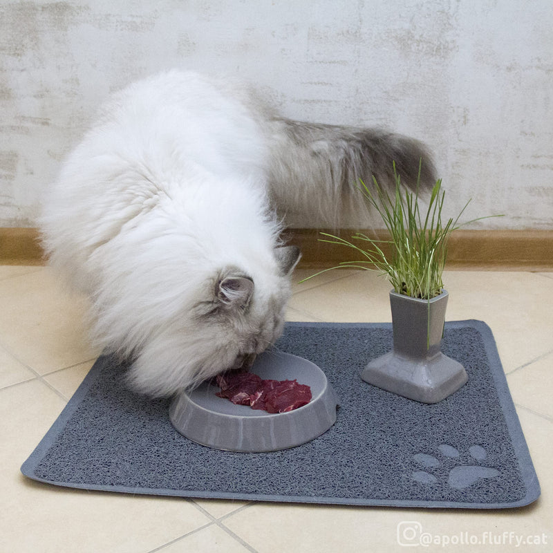 Miaustore Silicone Pet Fountain Mat and Cat Food Mat. Waterproof and Scratchproof Pet Placemat to Keep Food and Water Off The Floor. for Cats and Small Dogs - Grey - BeesActive Australia