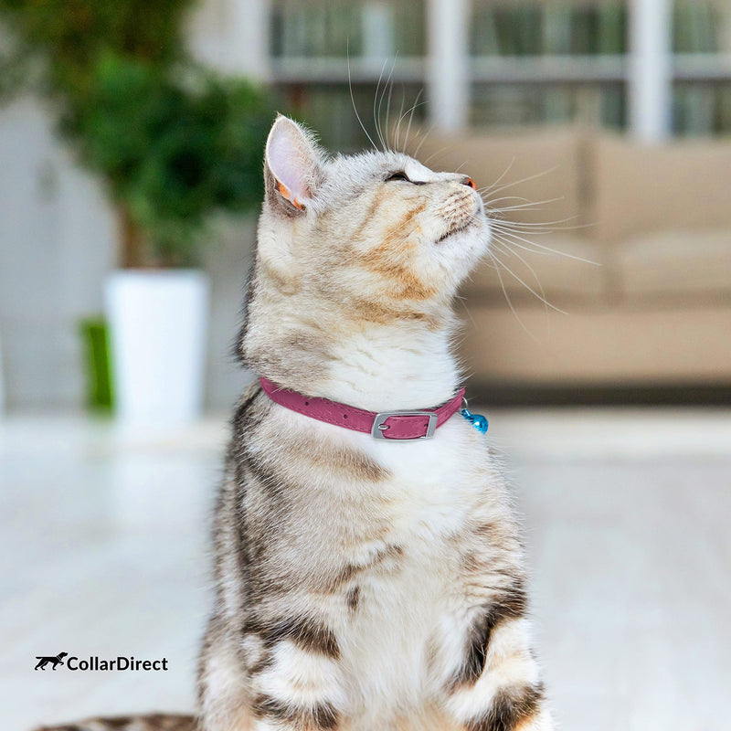 CollarDirect Leather Cat Collar, Cat Safety Collar with Elastic Strap, Kitten Collar for Cat with Bell Black Blue Red Orange Lime Green 9-11 Inch Pink - BeesActive Australia