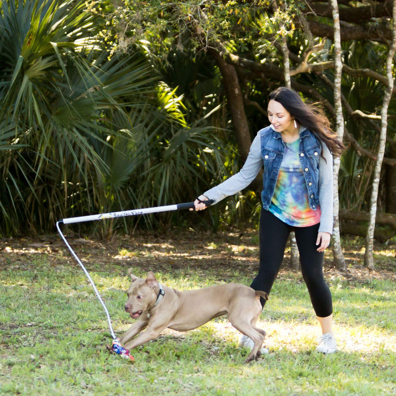 Squishy Face Studio Flirt Pole V2 with Lure - Durable Dog Toy for Fun Obedience Training & Exercise Squeaker Regular (36 in) Purple/Blue Tie Dye - BeesActive Australia