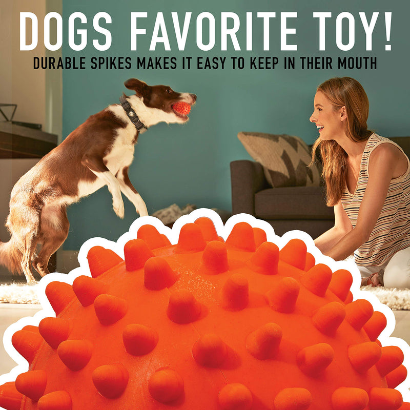 Franklin Sports Ready Set Fetch All Weather Ball - Launcher Ball - Slobber and Water Resistant - BeesActive Australia