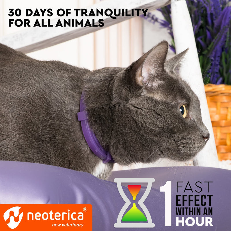 Cat Calming Collar & Pet Anti Anxiety Products - Feline Calm Pheromones Collars & Cats Stress Relief - Relaxivet Comfort Helps with Pee, New Zone, Aggression, Fighting with Dogs & Other Behavior 2 Count (Pack of 1) - BeesActive Australia