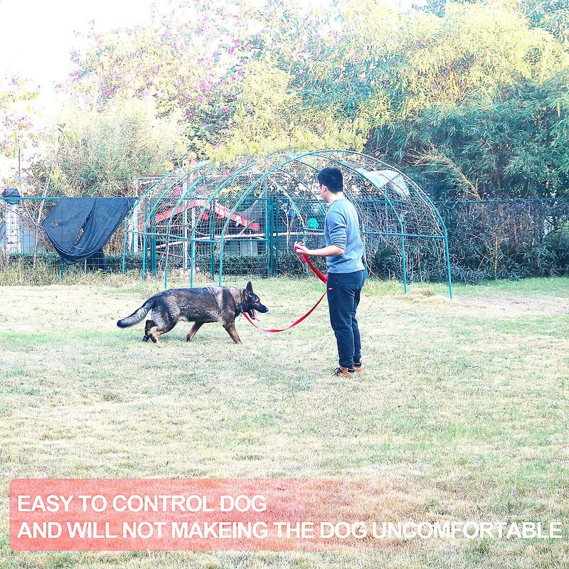 Siumouhoi Dog/Puppy Obedience Recall Training Agility Lead-15 ft 20 ft 30 ft 40 ft 50 ft Long Leash -for Training Leash, Play, Safety, Camping,or Backyard 20 Feet Purple - BeesActive Australia