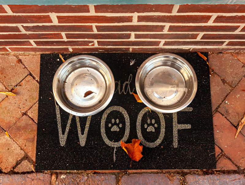 Greendale - Stainless Steel Metal Dog Bowls - Perfect for Dog Food, Water and as Replacement Bowls for Elevated Stands Stainless Steel 6.75 Cup - 4 Pack - BeesActive Australia