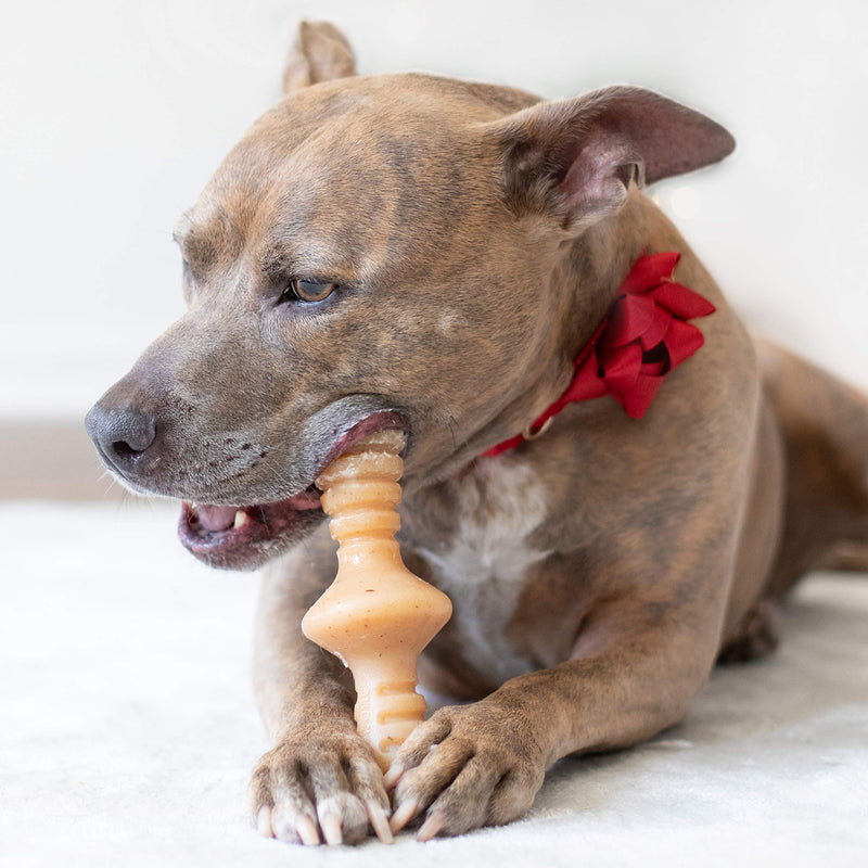 Benebone Zaggler Rolling Dog Chew Toy for Aggressive Chewers, Real Flavors, Made in USA REAL Bacon Medium - BeesActive Australia
