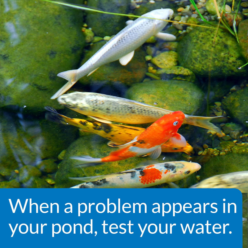 API POND MASTER TEST KIT Pond Water Test Kit 500-Test - BeesActive Australia