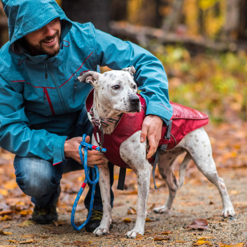 Kurgo Portsmouth Foul Weather Rain Jacket for Dogs, Waterproof Dog Raincoat, Reflective Piping, Quick Release Buckles, Includes Leash Opening, 5 sizes M (Neck: 19", Girth: 26"-35", Back: 21.5") Chili Red 1 - BeesActive Australia