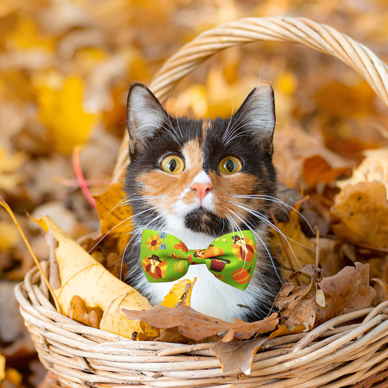 Pohshido 2 Pack Thanksgiving Cat Collar with Removable Bow Tie and Bell, Holiday Safety Breakaway Kitty Kitten Collar with Turkey and Pumpkin Spice Pattern(Adjustable Size from 7.8-12.8 inch) Pattern C - BeesActive Australia