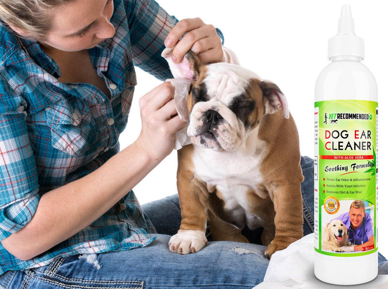 Vet Recommended Dog Ear Cleanser with Natural Aloe Vera for Dog Ear Infection (8oz/240ml). Perfect Dog Ear Cleaner for Yeast Infection - Made in USA - BeesActive Australia