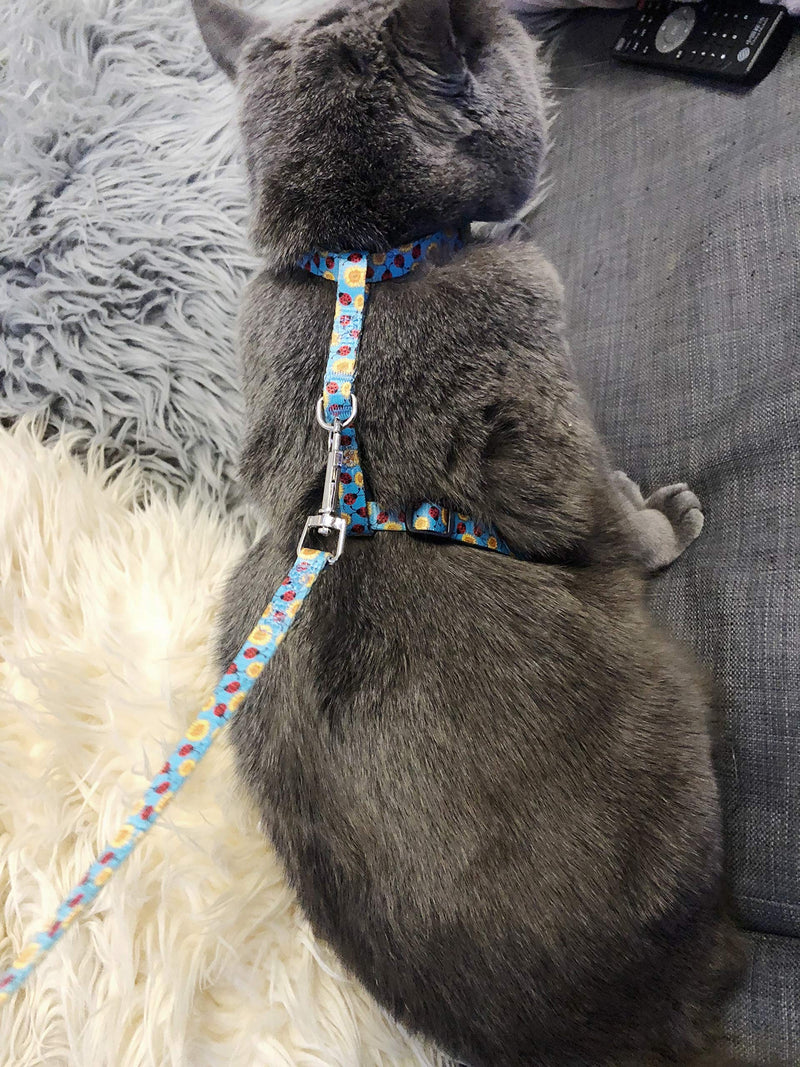 Cat Harness and Leash Set for Walking, Blue Adjustable Kitty Harness - BeesActive Australia