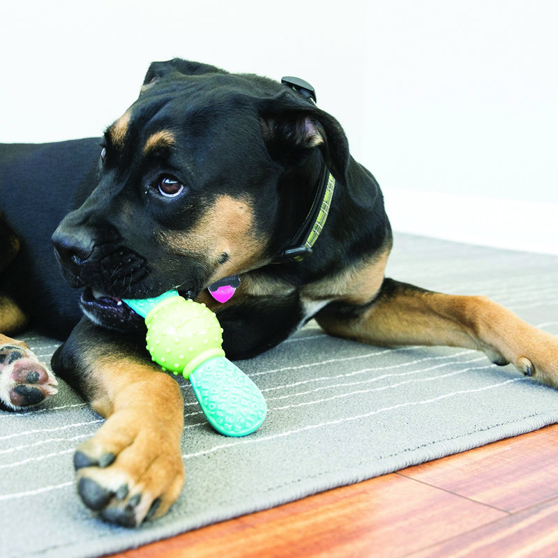 KONG - CoreStrength Bow Tie - Long Lasting Dog Dental and Chew Toy - for Medium/Large Dogs - BeesActive Australia