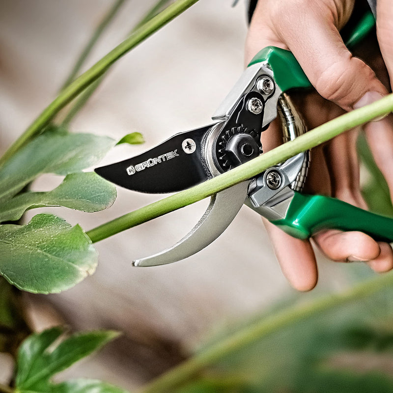 GRÜNTEK BYPASS Garden Pruning Shears FALCON Blade 48 mm / 1.9", Japanese SK5 Steel Blade, TEFLON Coated, Precision Cutting, Ergonomic Handles Garden Pruners - BeesActive Australia
