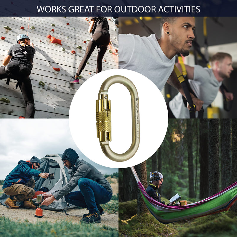 Fusion Climb Ovatti Steel Auto Lock Oval-Shaped Carabineer, Gold - BeesActive Australia