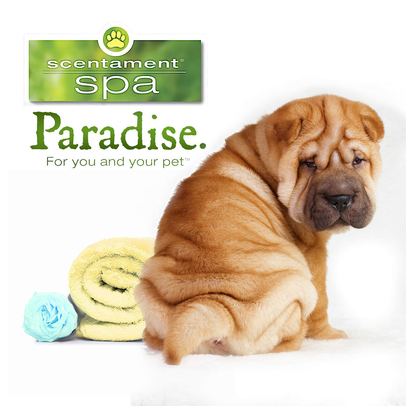 Best Shot Pet Scentament Spa Oatmeal Body Wash, Lemon Vanilla 16 oz. - BeesActive Australia
