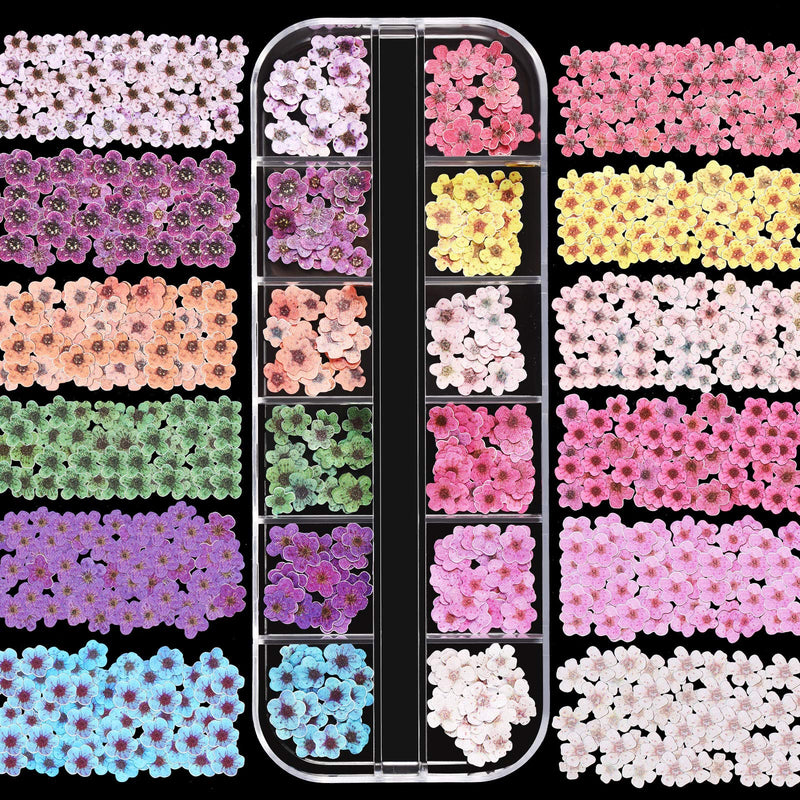 3 Boxes 36 Grids 3D Flowers for Nails 3D Nail Stickers Nail Dried Flowers Decals Nail Art Flowers Sequins for Nail Decoration DIY Crafting - BeesActive Australia