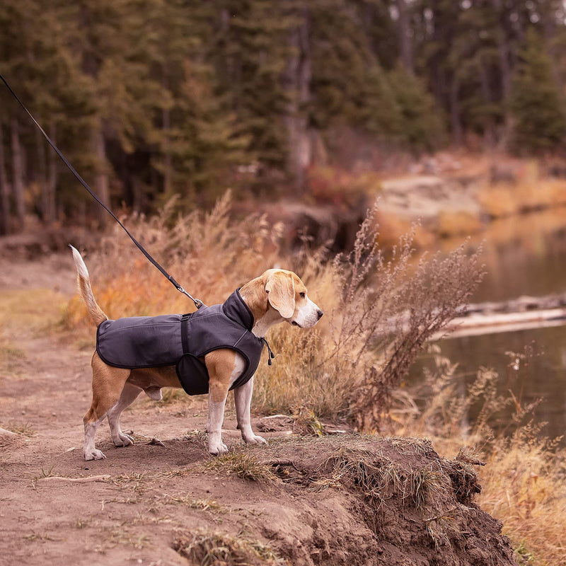 LUCOLOVE Dog Winter Coat - Waterproof Heat-Reflective Insulated Vest, Snow Jacket, Quick Adjust Fit, Warm and Cozy Cold Weather and Rain Wear for Small to Large Breeds X-Large Dark Gray - BeesActive Australia