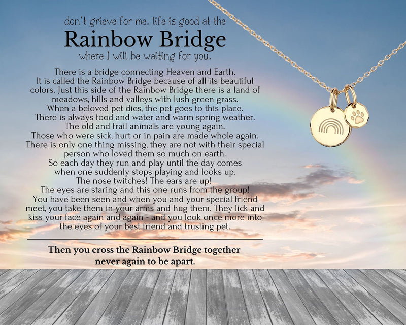 HOPE LOVE SHINE Rainbow Bridge Pet Memorial Necklace - Dog Sympathy Gifts, Loss of Pet, Cat Memorial Jewelry for Women & Men - Dog Dad & Dog Mom Necklace for Death of a Pet - Cat & Dog Memorial Gifts SILVER - BeesActive Australia