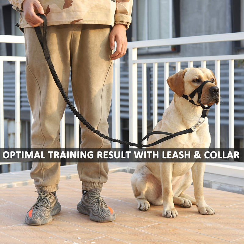 Dog Head Collar, No Pull Training Tool for Dogs on Walks, Includes Free Training Guide, Soft Padding, 5 XL Black - BeesActive Australia