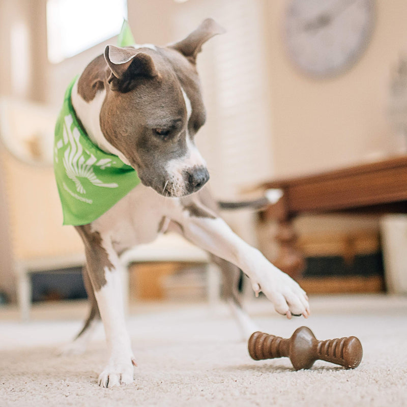 Benebone Zaggler Rolling Dog Chew Toy for Aggressive Chewers, Real Flavors, Made in USA REAL Bacon Medium - BeesActive Australia
